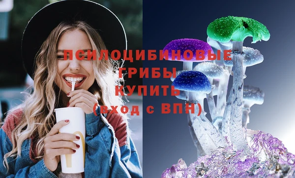 сатива Абдулино