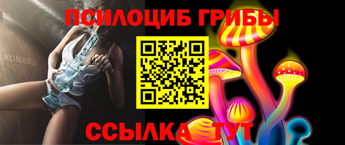 Галлюциногенные грибы мухоморы Камень-на-Оби