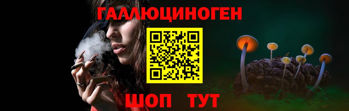 Камень-на-Оби  Галлюциногенные грибы Magic Shrooms  Галлюциногенные грибы прущие грибы  Вход с VPN 